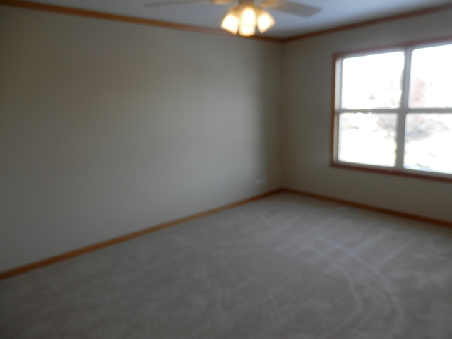 24831 Michele Dr, Plainfield, IL 60544 photo 15