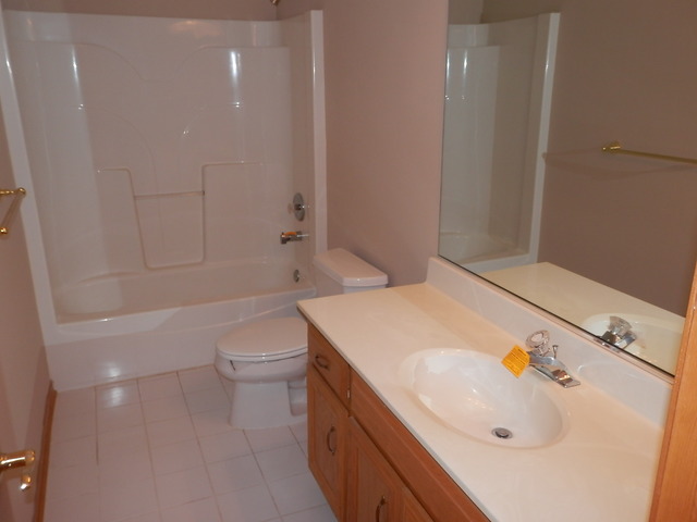 24831 Michele Dr, Plainfield, IL 60544 photo 23