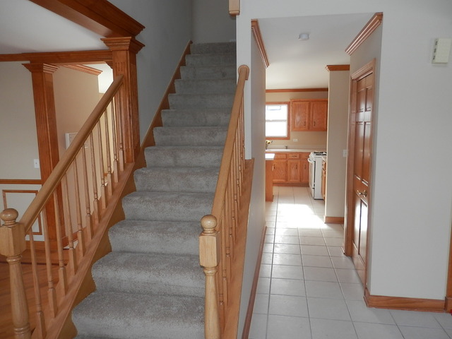 24831 Michele Dr, Plainfield, IL 60544 photo 4