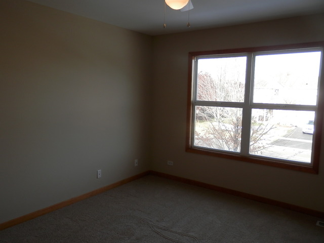 24831 Michele Dr, Plainfield, IL 60544 photo 21