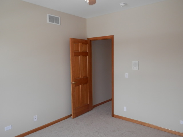 24831 Michele Dr, Plainfield, IL 60544 photo 20
