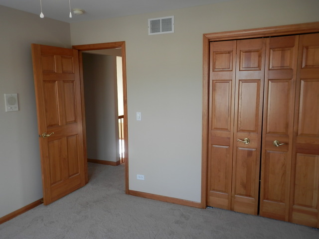 24831 Michele Dr, Plainfield, IL 60544 photo 22