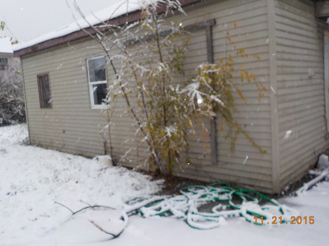3757 Sunset Ave, Markham, IL 60428 photo 10