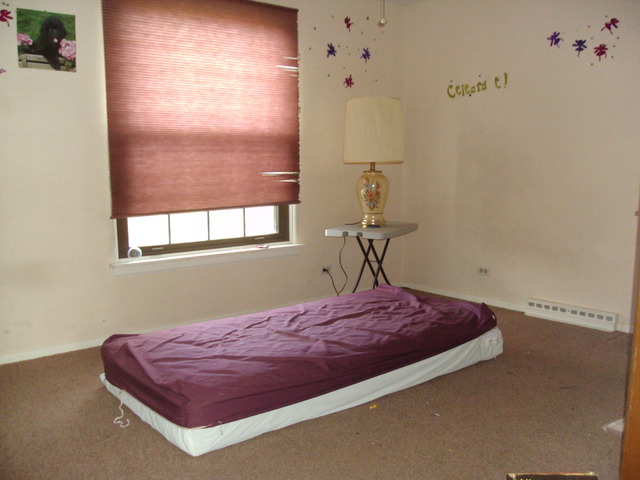 4235 Rose Ave, Lyons, IL 60534 photo 8