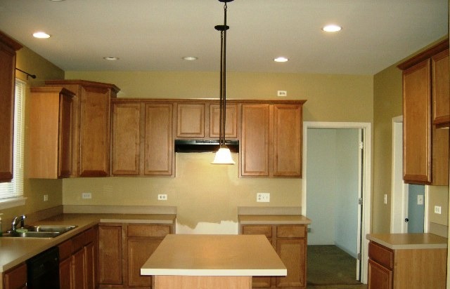 25432 Grotto Ct, Plainfield, IL 60585 photo 7