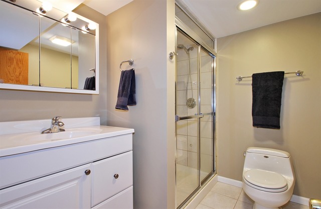 1383 S 6th Ave, Des Plaines, IL 60018 photo 11