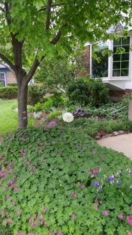 1485 Jasper Dr, Wheaton, IL 60189 photo 2