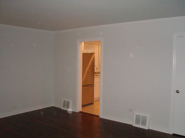 9425 Monroe Ave, Brookfield, IL 60513 photo 6
