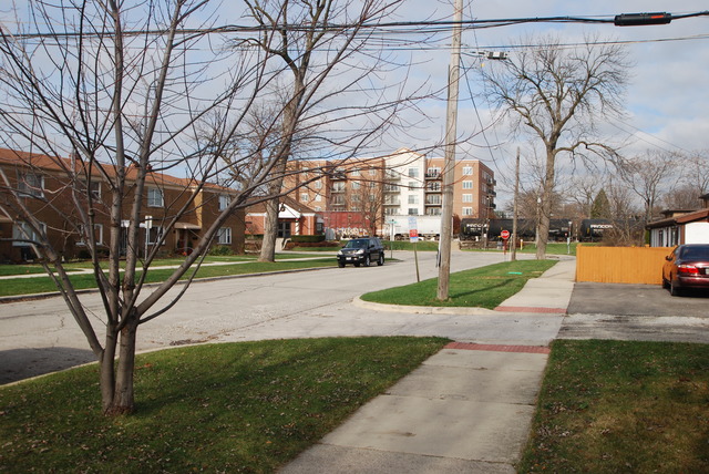 3825 Forest Ave, Brookfield, IL 60513 photo 7