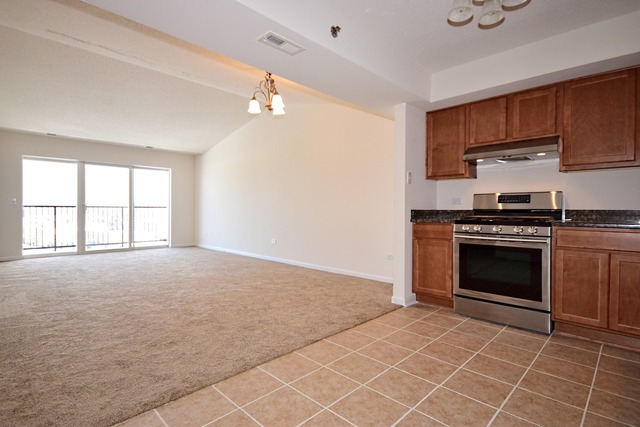 8010 Riverwalk Dr #4F, Lyons, IL 60534 photo 5