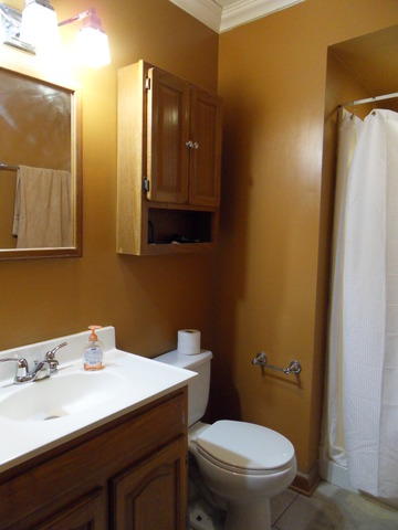 1720 Daisy St, Aurora, IL 60505 photo 21