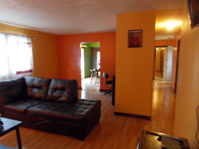 1720 Daisy St, Aurora, IL 60505 photo 18
