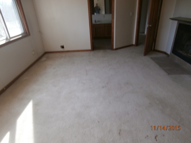 15329 S Francis Dr, Plainfield, IL 60544 photo 15