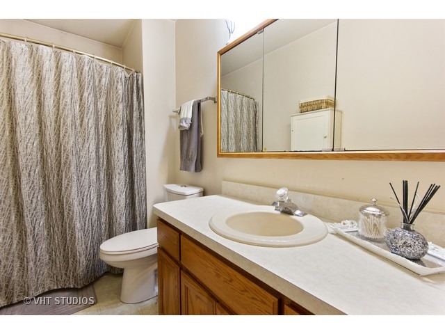 6904 Bitterroot Dr, Plainfield, IL 60586 photo 14