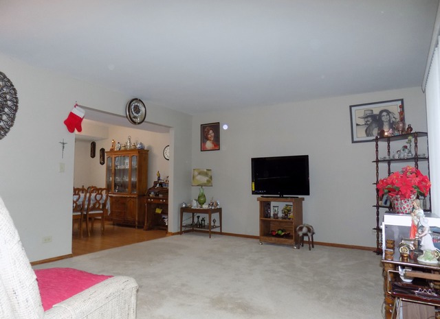3645 Jonathan Simpson Dr, Joliet, IL 60431 photo 10