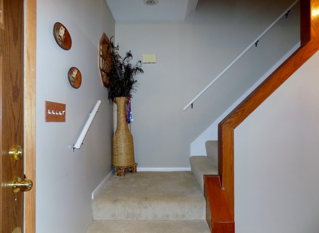 3645 Jonathan Simpson Dr, Joliet, IL 60431 photo 12