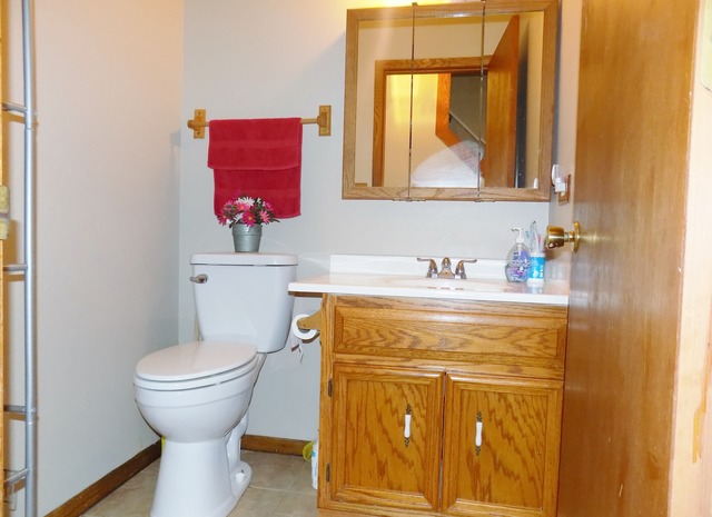 3645 Jonathan Simpson Dr, Joliet, IL 60431 photo 19