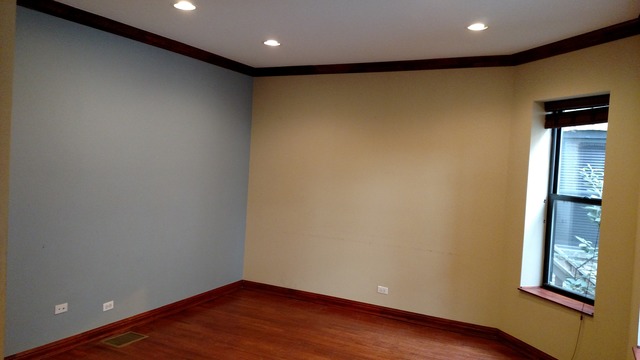 208 E 44th St #1, Chicago, IL 60653 photo 5