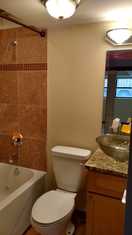 208 E 44th St #1, Chicago, IL 60653 photo 10
