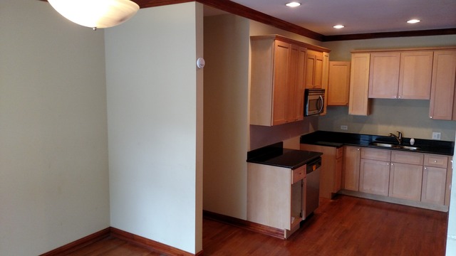 208 E 44th St #1, Chicago, IL 60653 photo 2