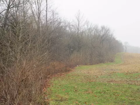 7691 E County Highway 14, Smithfield, IL 61477 photo 12