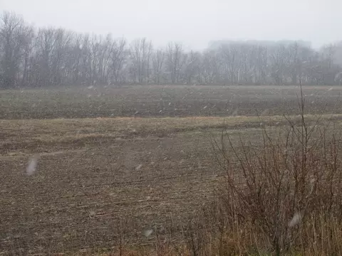 7691 E County Highway 14, Smithfield, IL 61477 photo 14