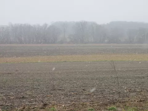 7691 E County Highway 14, Smithfield, IL 61477 photo 16