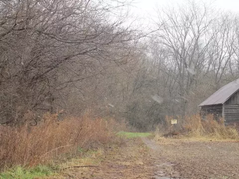 7691 E County Highway 14, Smithfield, IL 61477 photo 15