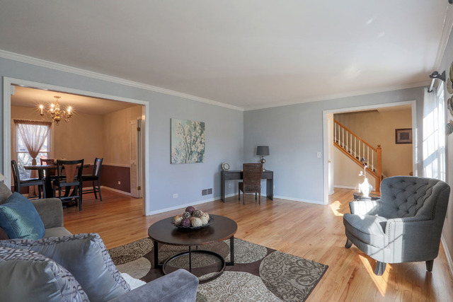 1709 Clyde Dr, Naperville, IL 60565 photo 12
