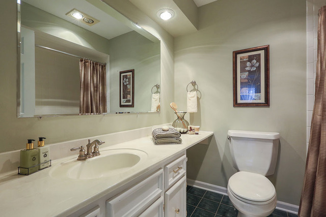 1709 Clyde Dr, Naperville, IL 60565 photo 18