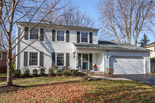 1709 Clyde Dr, Naperville, IL 60565 photo 1