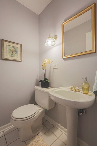 1709 Clyde Dr, Naperville, IL 60565 photo 8