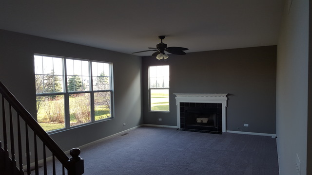 12733 Grande Poplar Cir, Plainfield, IL 60585 photo 10