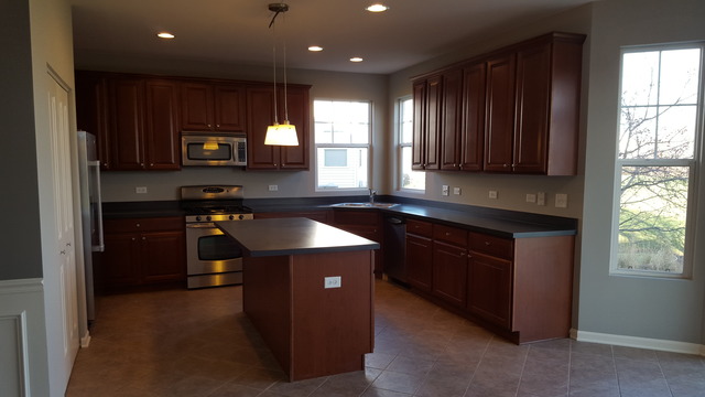 12733 Grande Poplar Cir, Plainfield, IL 60585 photo 8