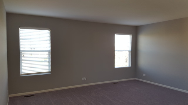 12733 Grande Poplar Cir, Plainfield, IL 60585 photo 17