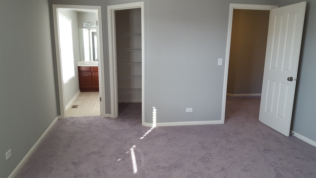 12733 Grande Poplar Cir, Plainfield, IL 60585 photo 15