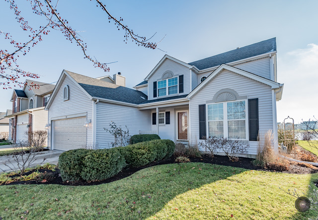 1905 Ridge Moor Dr, Plainfield, IL 60586 photo 1