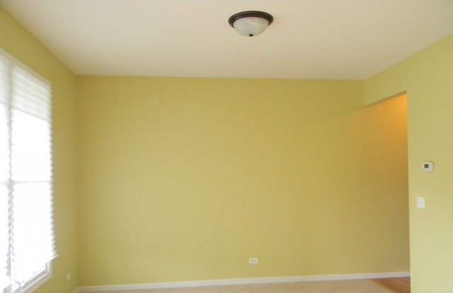 171 Pleasant Dr, Bartlett, IL 60103 photo 9