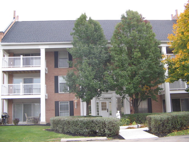 5601 Carriageway Dr #309b, Rolling Meadows, IL 60008 photo 1
