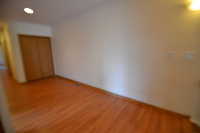 719 E 41st St #1, Chicago, IL 60653 photo 5