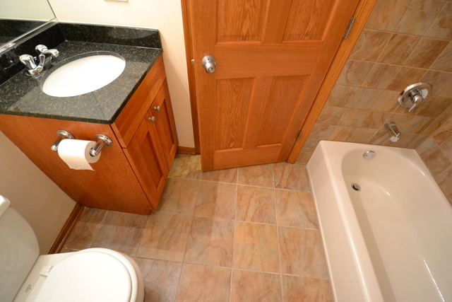 719 E 41st St #1, Chicago, IL 60653 photo 8