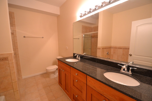 719 E 41st St #1, Chicago, IL 60653 photo 22