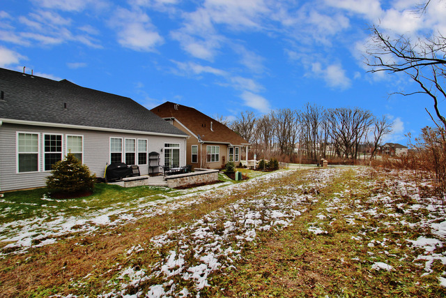 3908 Eagle Ridge Dr, Elgin, IL 60124 photo 23