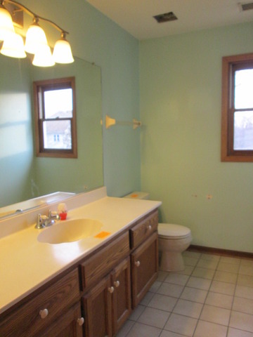 1504 Wayne Dr, Crete, IL 60417 photo 17