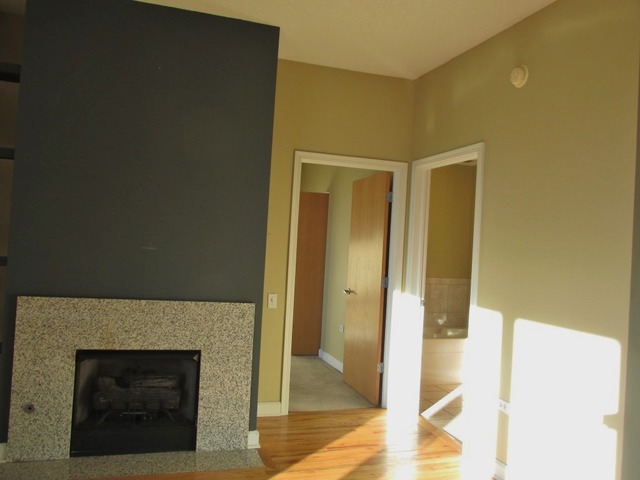 41 E 8th St #2705, Chicago, IL 60605 photo 18