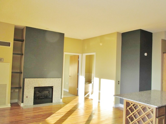 41 E 8th St #2705, Chicago, IL 60605 photo 16