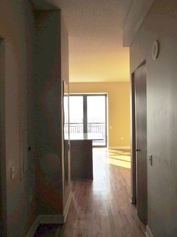 41 E 8th St #2705, Chicago, IL 60605 photo 9