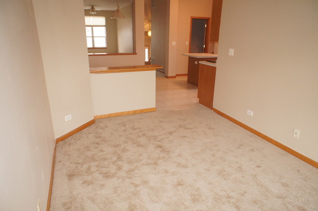 2811 Packford Ln, Aurora, IL 60502 photo 8