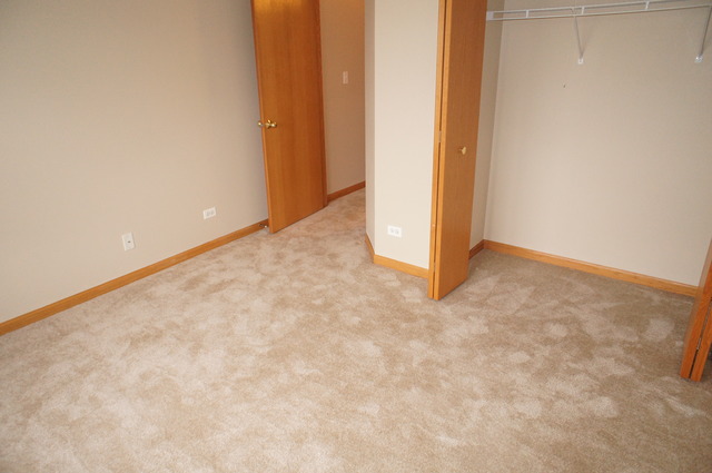 2811 Packford Ln, Aurora, IL 60502 photo 18