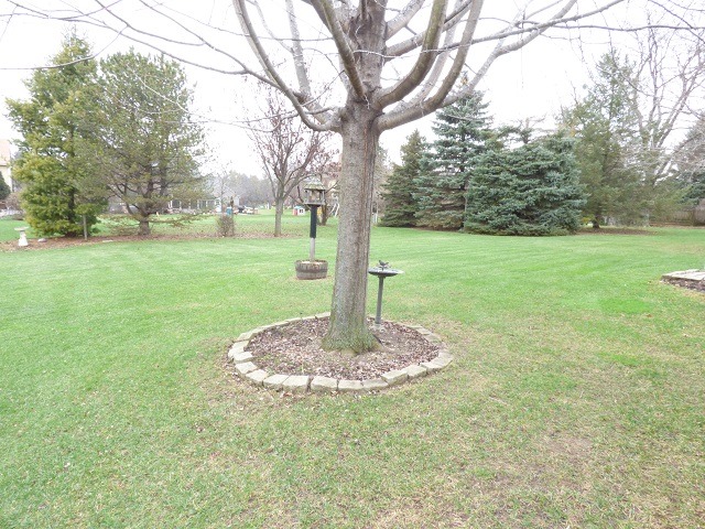 720 Gaslight Dr, Algonquin, IL 60102 photo 6